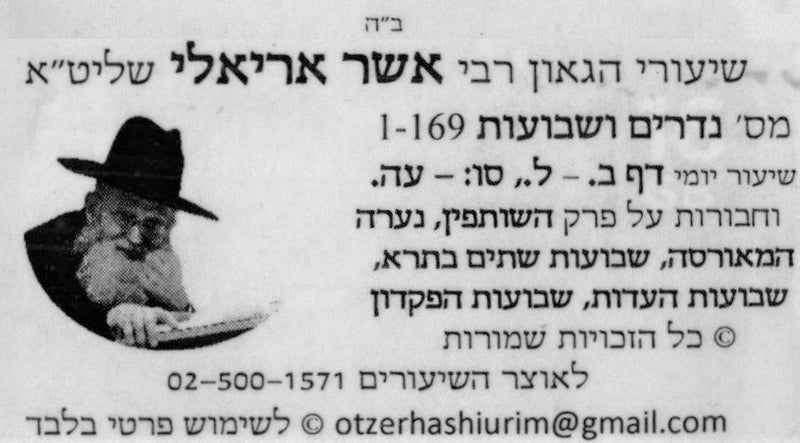 R' Asher Arieli Meshechtos (USB)