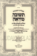 Shut Teshuvah M'Yireh Karlsburg - שו"ת תשובה מיראה קארלסבורג