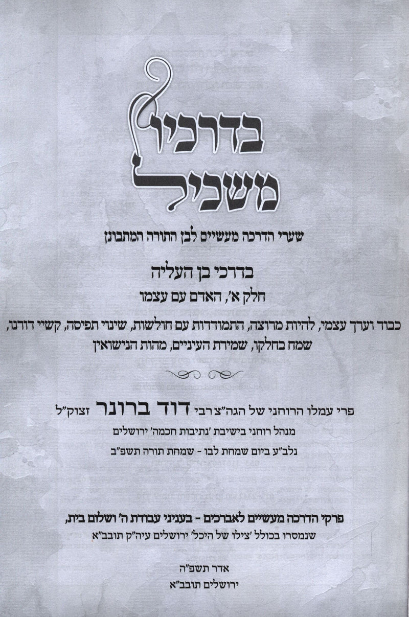 B'Drachav Maskil (Paperback) - בדרכיו משכיל