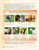 The Weekly Parashah Series: Sefer Vayikra - The Jaffa Family Edition