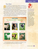The Weekly Parashah Series: Sefer Vayikra - The Jaffa Family Edition