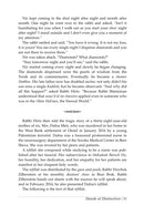 Illuminations of The Maggid