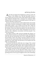 Illuminations of The Maggid