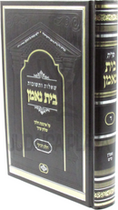 Shut Beis Ne'eman Volume 4 - שו"ת בית נאמן ד