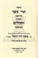 Biur Trei Asar Tehillim L'Rabbi Moshe Dovid Vali - ביאור תרי עשר ותהלים לרבי משה דוד וואלי