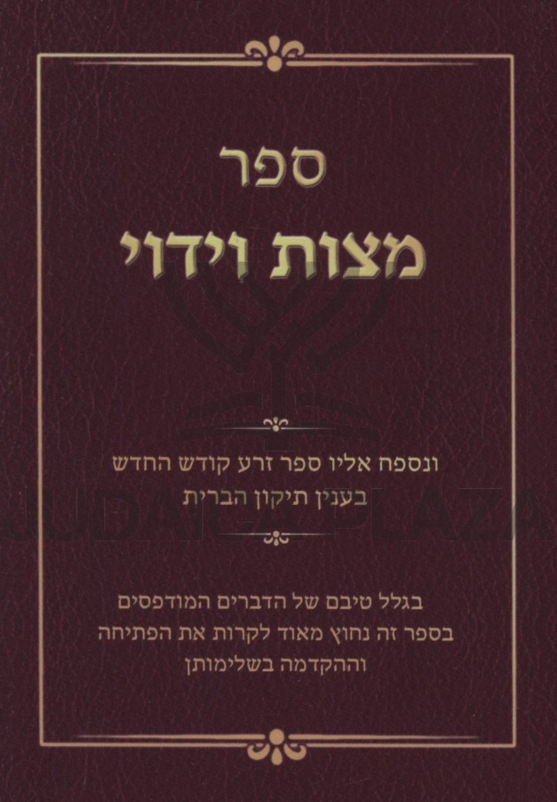 Sefer Mitzvas Viduy - ספר מצות וידוי