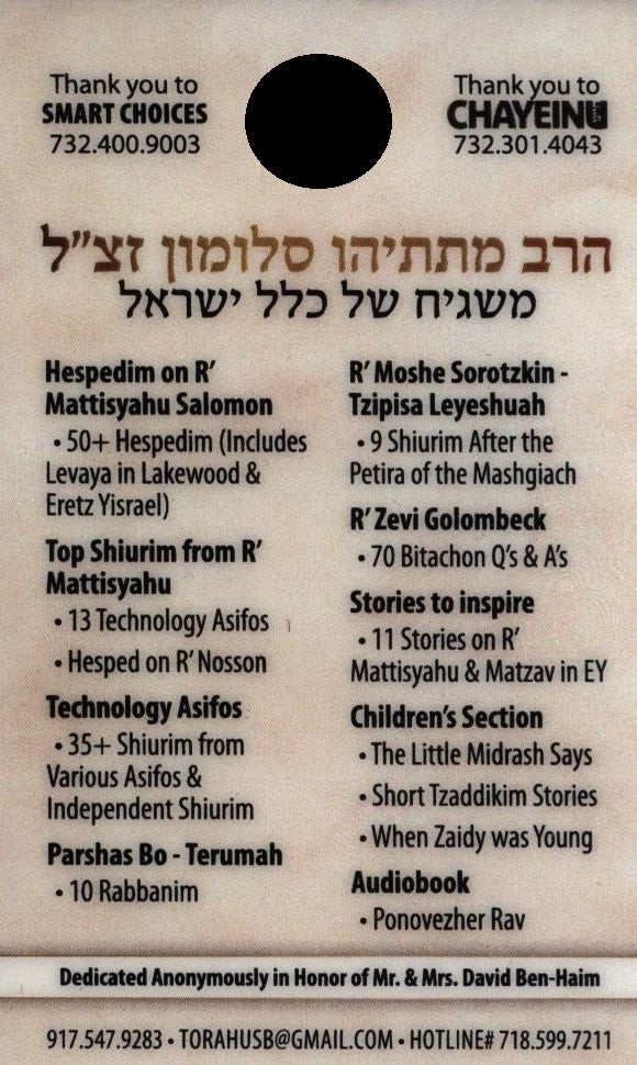 Torah USB - R' Mattisyahu Salomon Hespeidim