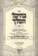Sefer B'Heichal HaMelech (Satmar) [Yiddish] - ספר בהיכל המלך חלק א (סאטמאר) [אידיש]