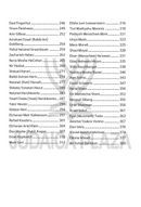 A Tale of a Tzadik and a Stretcher