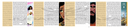 Megillat Esther: Koren Illustrated Scroll
