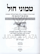 Sefer Temunei Chol - ספר טמוני חול