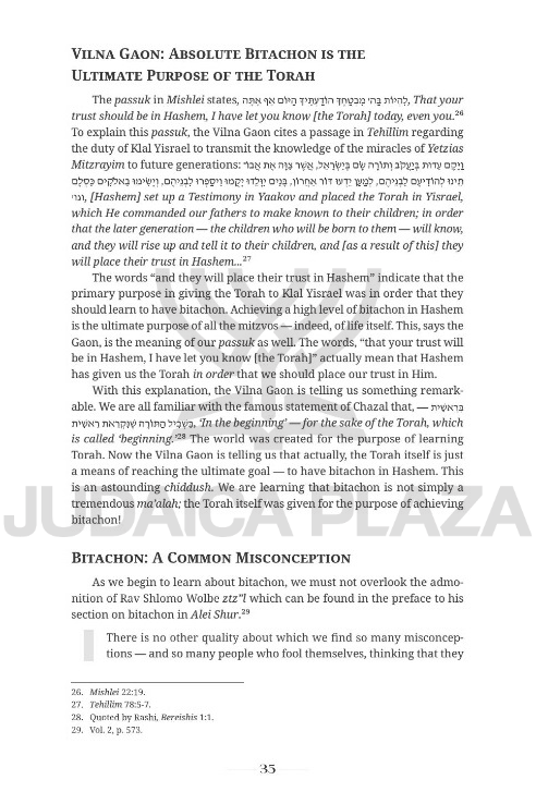 Becoming a Ba'al Bitachon