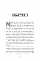 The Mysterious Journey