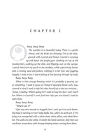 Chasing Dreams - A Novel