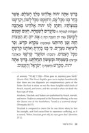 Dr. Ari's Haggadah