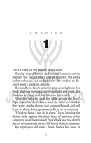 The Sefer Torah Thief - A Novel