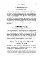 The Midnight Passover Haggadah