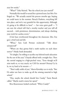 Mirror Effect - A Teen Novel