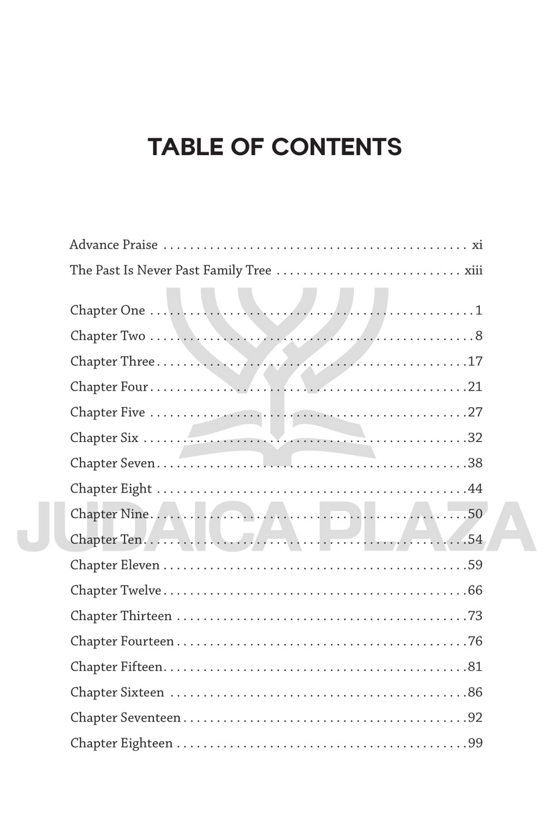 The Past is Never Past - A Novel