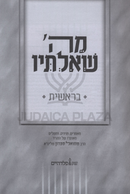 M'Hashem Sh'altiv Al HaTorah Bereishis - מה' שאלתיו על התורה בראשית