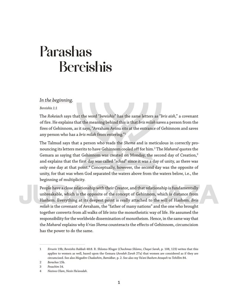 Rabbi Elchanan Shoff on the Parashah - Bereishis