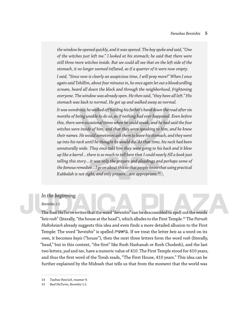 Rabbi Elchanan Shoff on the Parashah - Bereishis