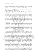 The Science of Shabbos