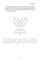 Yedidya 2 - A Novel