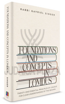 Foundations and Concepts In Lomdus