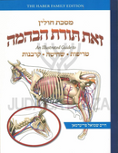 Zos Toras HeBehaima - Maseches Chullin