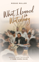 What I Learned in Waterbury