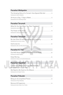 Ohr Chazaq on the Parsha