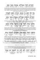 The Heights of Hallel