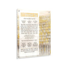 Waterdale Collection: Lucite Al Hamichya Wall Art - Jerusalem Taupe Kosel