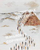 Waterdale Collection: Lucite Pesach Krias Yam Suf Haggadah Painted By Shira Licht