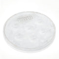 Waterdale Collection: Lucite Seder Plate - Resin