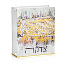 Waterdale Collection: Lucite Kosel at Winter Tzedakah Box Painted By Zelda