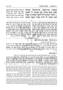 Schottenstein Hebrew Edition Rashi HaMevoar