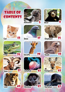 The Jewish World of Wonders - Animal Zoo