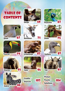 The Jewish World of Wonders - Animal Zoo