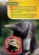 The Jewish World of Wonders - Animal Zoo