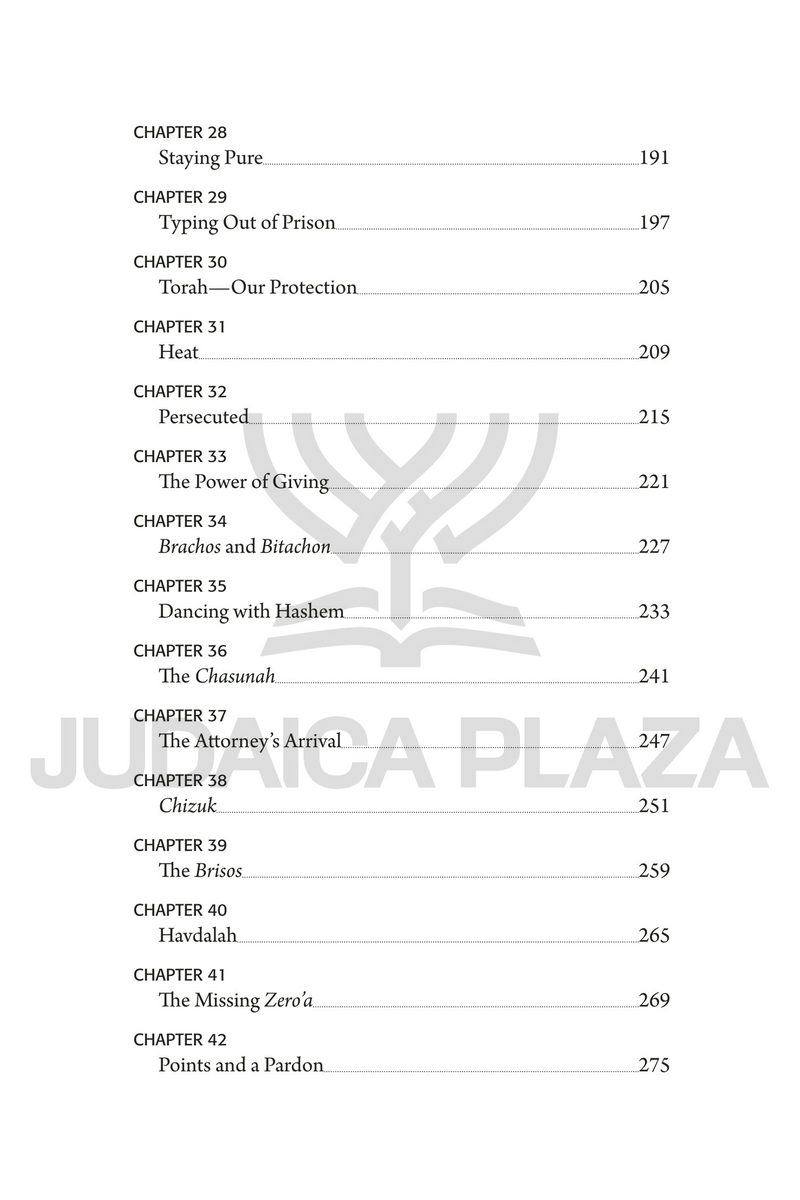 Sholom Mordechai Rubashkin: The Inside Story (Teen Edition)