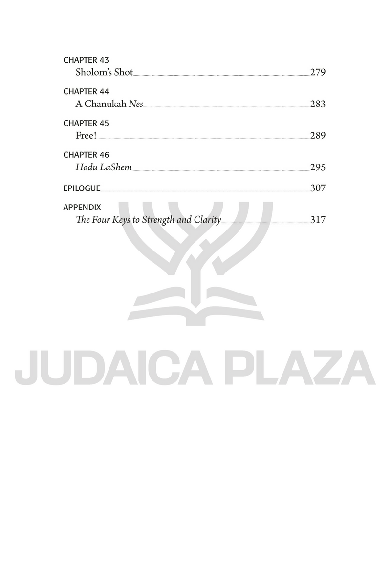 Sholom Mordechai Rubashkin: The Inside Story (Teen Edition)