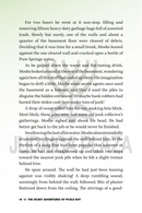 The Secret Adventures of Pickle Boy - Volume 1