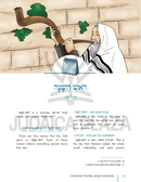 Moadim Illuminated