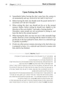 Shuls in Halachah