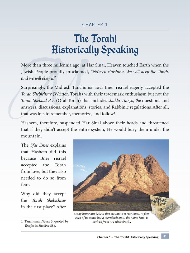 The Sefer Torah Encyclopedia