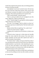 Wavelengths - A Novel