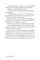 Wavelengths - A Novel