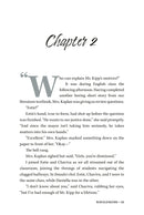 Wavelengths - A Novel